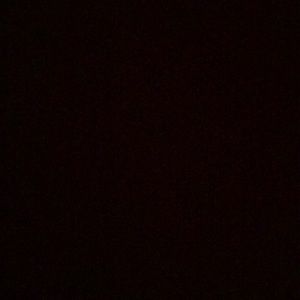 Meet your Posher, Kaitlin